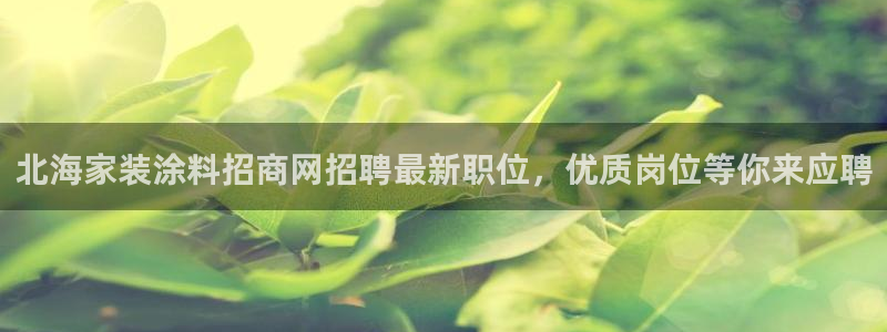 和记国际听：北海家装涂料招商网招聘最新职位，优质岗位等你来应聘