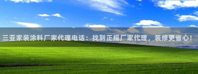 和记国际电讯市值