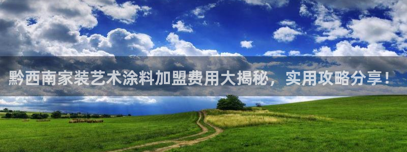 和记AG网站：黔西南家装艺术涂料加盟费用大揭秘，实用攻略分享！