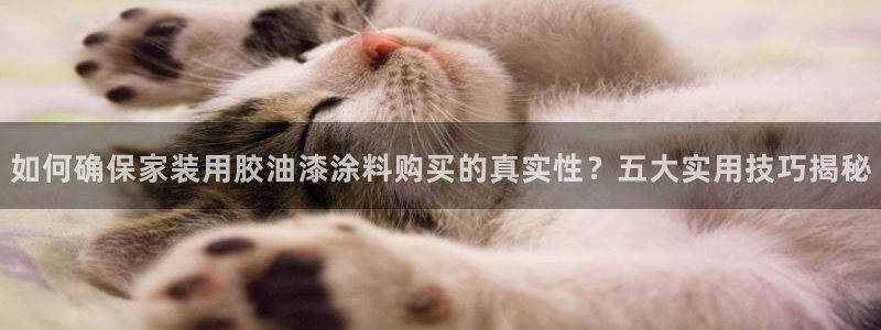 和记ag旗舰厅：如何确保家装用胶油漆涂料购买的真实性？五大实用技巧揭秘