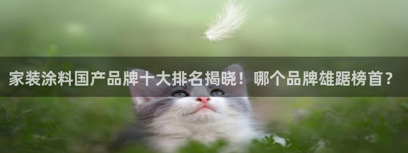 和记国际听：家装涂料国产品牌十大排名揭晓！哪个品牌雄踞榜首？