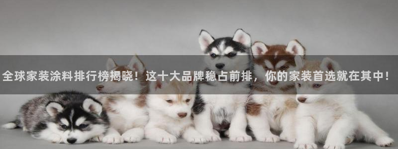 江苏和记餐饮有限公司：全球家装涂料排行榜揭晓！这十大品牌稳占前排，你的家装首选就在其中！