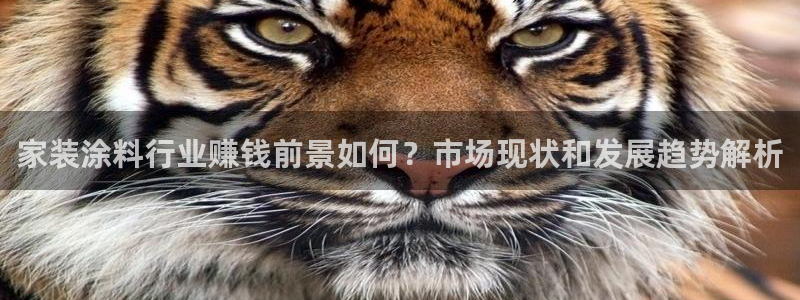 和记国际听：家装涂料行业赚钱前景如何？市场现状和发展趋势解析