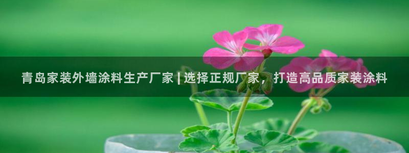 和记电业集团：青岛家装外墙涂料生产厂家 | 选择正规厂家，打造高品质家装涂料