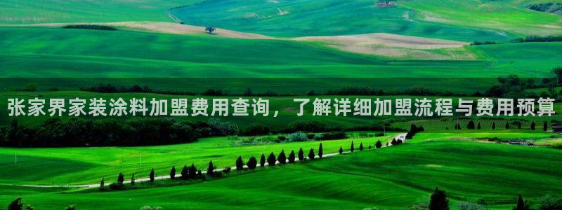 和记paging：张家界家装涂料加盟费用查询，了解详细加盟流程与费用预算