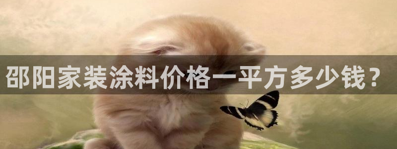 和记ag旗舰厅app：邵阳家装涂料价格一平方多少钱？