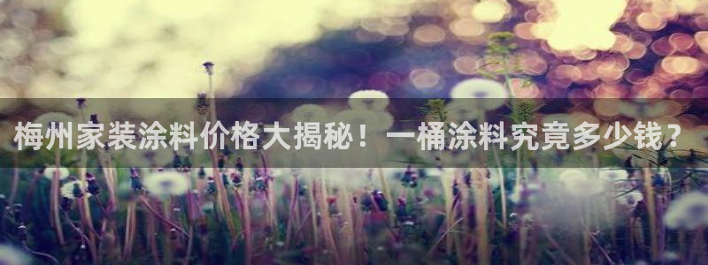 和记娱好网址：梅州家装涂料价格大揭秘！一桶涂料究竟多少钱？