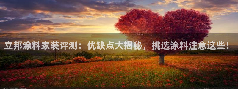 官方和记国际平台登录：立邦涂料家装评测：优缺点大揭秘，挑选涂料注意这些！