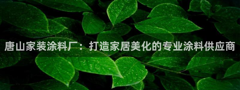 和记ag旗舰：唐山家装涂料厂：打造家居美化的专业涂料供应商