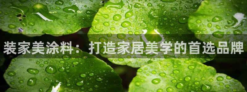 和记 首页：装家美涂料：打造家居美学的首选品牌