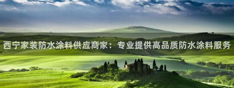 和记国际开户：西宁家装防水涂料供应商家：专业提供高品质防水涂料服务