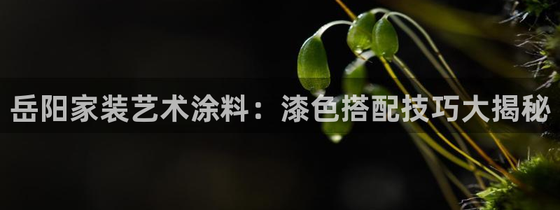和记ag网址：岳阳家装艺术涂料：漆色搭配技巧大揭秘
