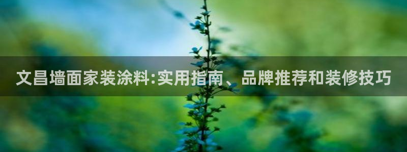 和记国际电讯市值：文昌墙面家装涂料:实用指南、品牌推荐和装修技巧