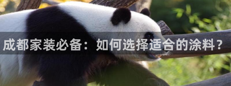 和记广告女主角：成都家装必备：如何选择适合的涂料？