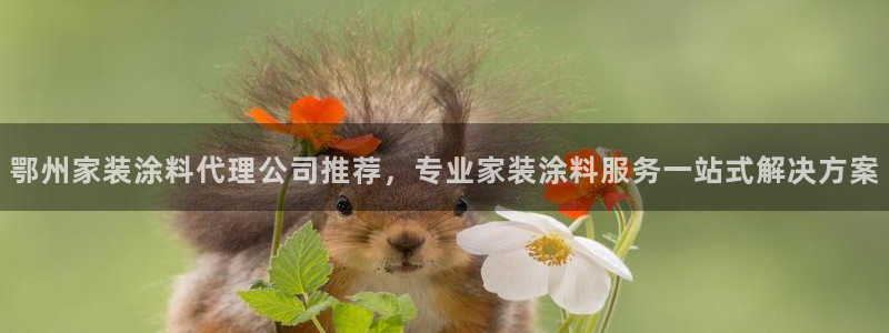 和记ag