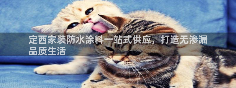 和记网页版