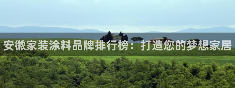 和记H88