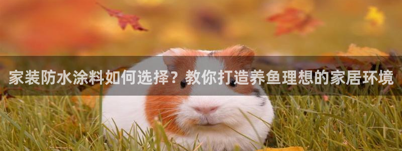 和记官网首页