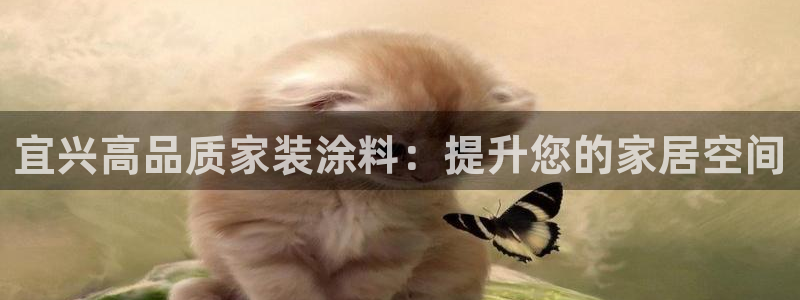 和记国际