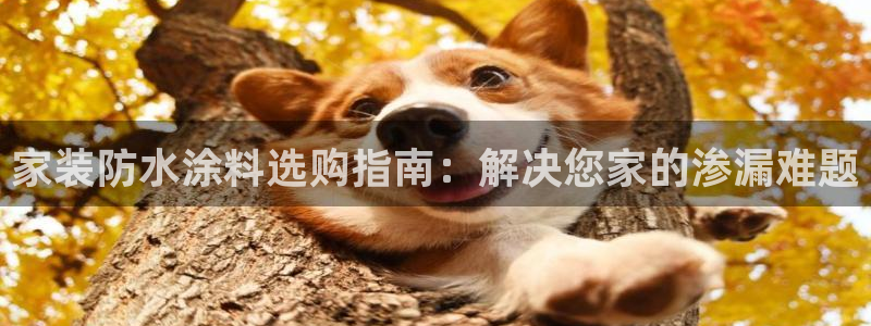 和记国际电讯市值