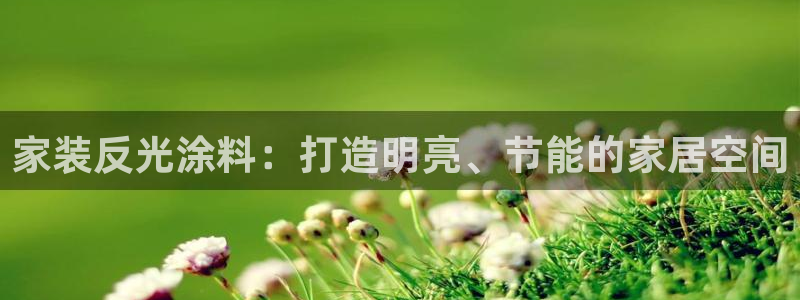 和记官方