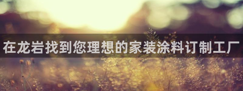 和记官网 公司：在龙岩找到您理想的家装涂料订制工厂