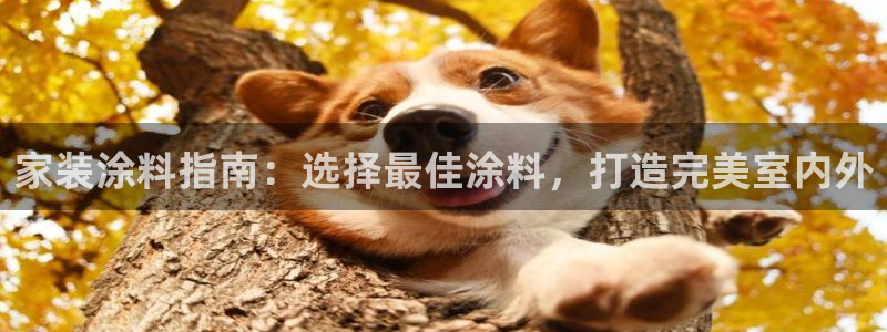 和记官方平台