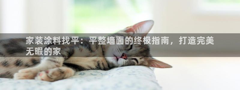 和记平台：家装涂料找平：平整墙面的终极指南，打造完美
无暇的家