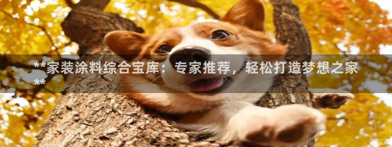 和记ag旗舰厅：**家装涂料综合宝库：专家推荐，轻松打造梦想之家
**