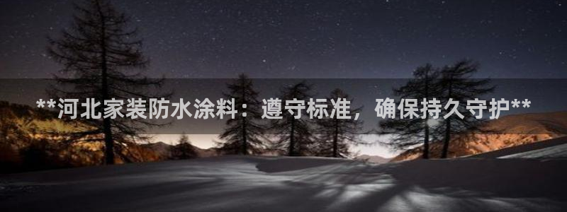 和记官网官方网站：**河北家装防水涂料：遵守标准，确保持久守护**