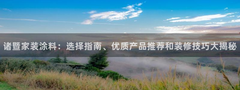上海和记餐饮有限公司：诸暨家装涂料：选择指南、优质产品推荐和装修技巧大揭秘