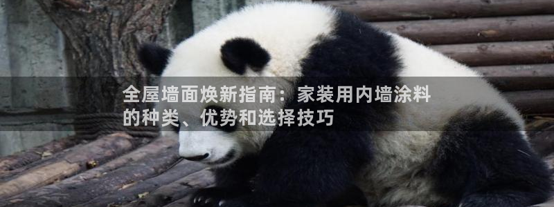 深圳和记科技有限公司：全屋墙面焕新指南：家装用内墙涂料
的种类、优势和选择技巧