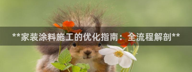 和记网页：**家装涂料施工的优化指南：全流程解剖**