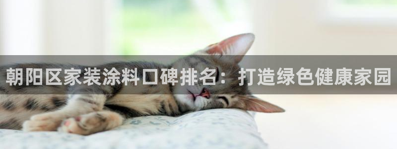 和记官方：朝阳区家装涂料口碑排名：打造绿色健康家园