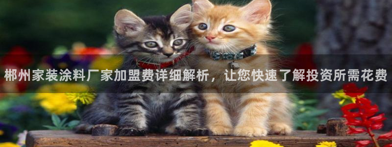 和记平台登陆：郴州家装涂料厂家加盟费详细解析，让您快速了解投资所需花费