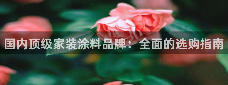 和记AG：国内顶级家装涂料品牌：全面的选购指南