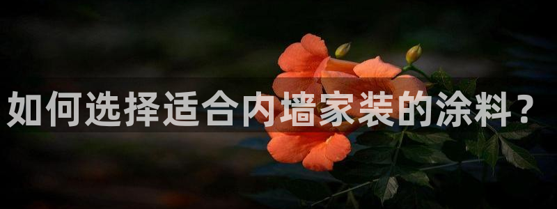 上海和记餐饮：如何选择适合内墙家装的涂料？