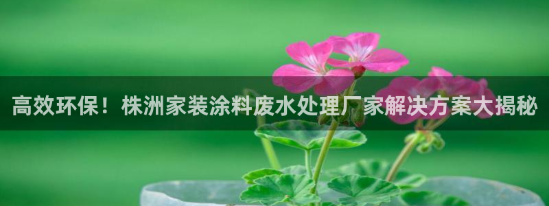 和记app官网登录：高效环保！株洲家装涂料废水处理厂家解决方