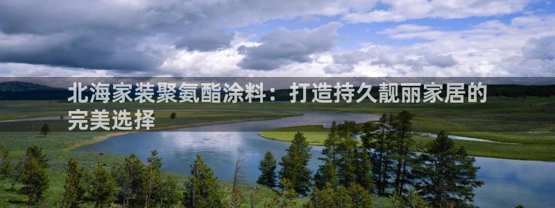 和记官网首页：北海家装聚氨酯涂料：打造持久靓丽家居的
完美选择