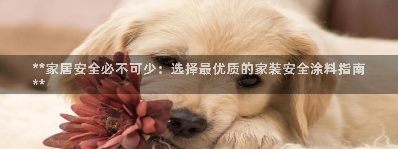 和记港口：**家居安全必不可少：选择最优质的家装安全涂料指南
**