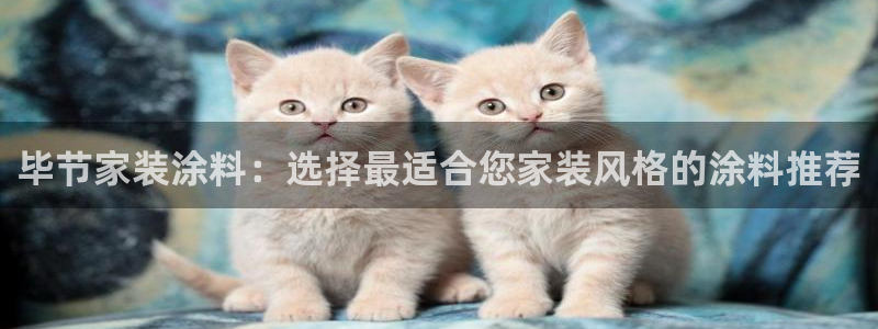 和记官方网址：毕节家装涂料：选择最适合您家装风格的涂料推荐