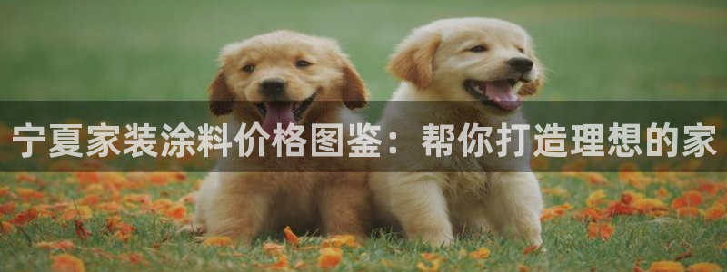 和记官方直营