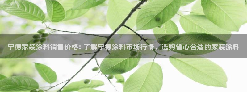 和记h8