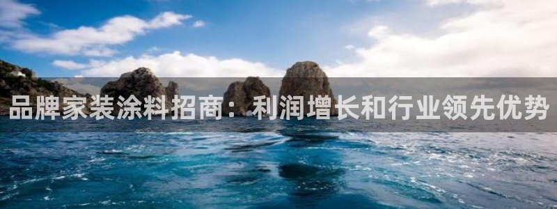 和记ag：品牌家装涂料招商：利润增长和行业领先优势