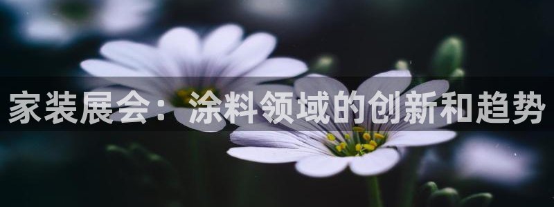 和记ag旗舰国际：家装展会：涂料领域的创新和趋势