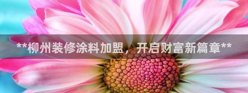 和记网页：**柳州装修涂料加盟，开启财富新篇章**
