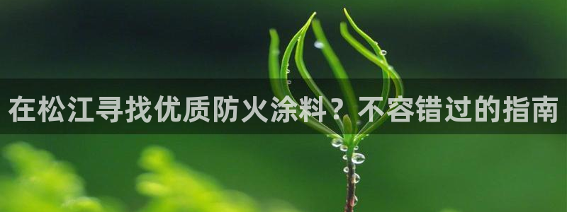 和记港口