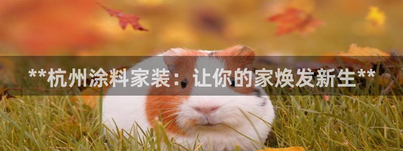 和记ag旗舰：**杭州涂料家装：让你的家焕发新生**