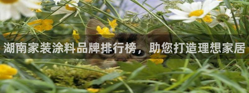 和记国际官网官网：湖南家装涂料品牌排行榜，助您打造理想家居