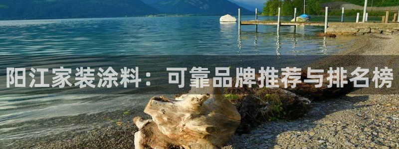 和记平台官方网：阳江家装涂料：可靠品牌推荐与排名榜